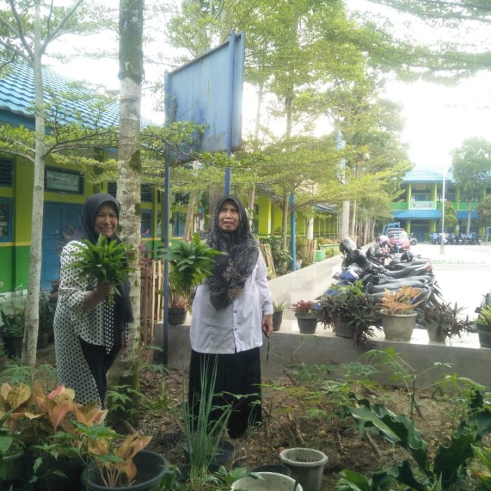 Guru MTsN 2 Kerinci Manfaatkan Waktu Istirahat untuk Panen Perdana di Kebun Madrasah